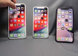 Cả 3 mẫu iPhone 2019 xuất hiện rõ nét trong video mới