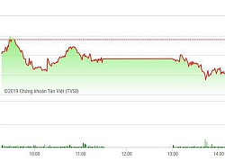 Chứng khoán chiều 2/5: SAB, MSN chưa đủ sức đẩy VN-Index qua tham chiếu