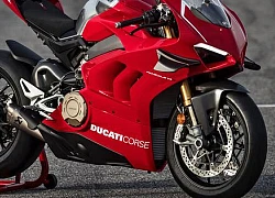 Đối thủ của Ducati Panigale V4R - Kawasaki Ninja ZX-10RR phiên bản mới sẽ trình làng năm 2020?