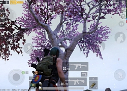 PUBG Mobile: Hết nghỉ lễ vẫn chưa có Update, VNG nguy cơ mất cả đống khách vì thất hứa