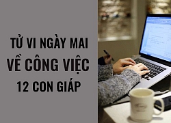 Tử vi ngày mai (2/5/2019) về công việc của 12 con giáp: Tuổi Hợi có &#8216;cạ&#8217; mới nơi công sở