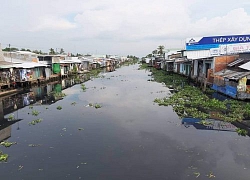 10 ngày chưa tìm ra nguyên nhân sông Cái Lớn ô nhiễm nghiêm trọng