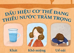 12 dấu hiệu cho thấy cơ thể đang cần 'bơm' thêm nước