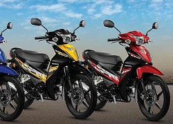 2019 Honda Wave Alpha màu mới giá 24 triệu đồng nhiều khác biệt