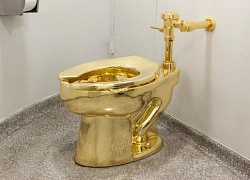 Anh : Du khách được dùng toilet vàng từng được đề nghị tặng ông Trump