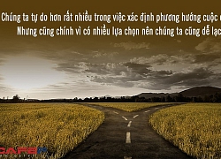 Cha mẹ cho sinh mạng, nhưng cuộc đời vẫn phải tự do mình nắm lấy: Không tự tìm được phương hướng, cả đời bạn sẽ lạc lối trong ảo vọng thành công!