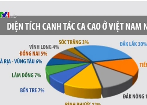 Giá ca cao tăng lên hơn 55 triệu đồng/tấn