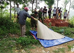 Nghệ An: Phát hiện nam thanh niên tử vong bên bìa rừng