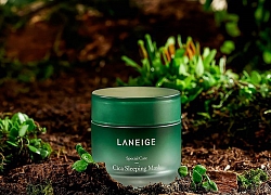 [Review] Mặt nạ ngủ Laneige Cica Sleeping Mask Có vượt trội hơn sản phẩm "huyền thoại" của hãng?