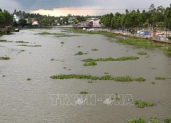 Thị xã Long Mỹ (Hậu Giang) đã có nước sạch trở lại