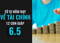 Tử vi hôm nay (6/5/2019) về tài chính của 12 con giáp: Tuổi Mão điều chỉnh cán cân chi tiêu &#8211; tích lũy