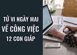 Tử vi ngày mai (6/5/2019) về công việc của 12 con giáp: Tuổi Mão mở rộng các mối quan hệ