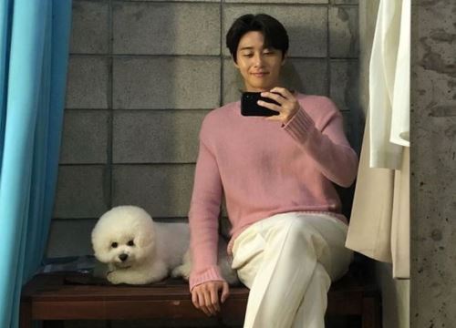 Ai cũng sẽ muốn được ôm như cách Park Seo Joon ôm chú cún Simba