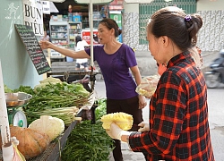 Bán rau chứ không bán túi nilon - câu chuyện tử tế nhất dịp Quốc tế Thiếu nhi: "Cả xóm cùng bớt rác, cho con nít được nhờ!"