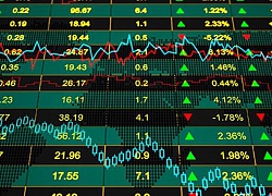 Đạm Hà Bắc "ôm nợ" 9.334 tỷ, chứng khoán DHB "đóng băng" giao dịch