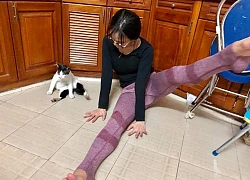 Mèo 'tập yoga' cùng cô chủ