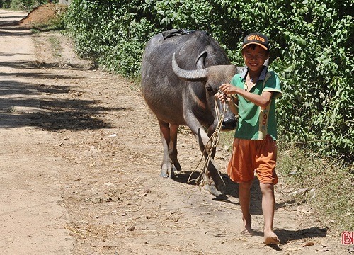 Ngày hè của trẻ em nông thôn Hà Tĩnh