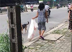 Người đàn bà điên vác bao đi nhặt rác mỗi ngày, nhiều người suy ngẫm: 'Điên mới chịu làm điều tử tế như thế!'