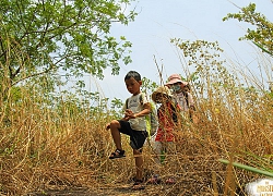 Những đứa trẻ 'trưởng thành'