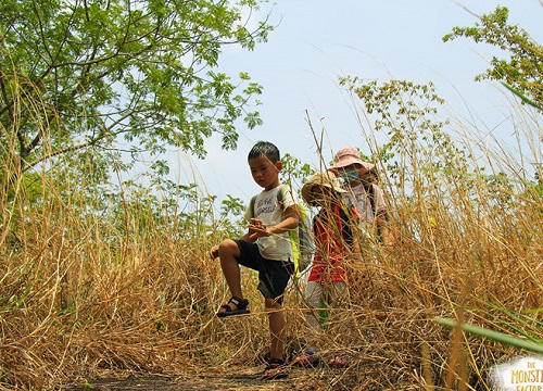 Những đứa trẻ 'trưởng thành'