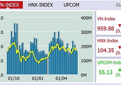 Thị trường chứng khoán rớt xuống 959,88 điểm