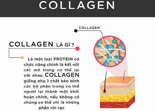 Bổ sung collagen thế nào cho đúng?