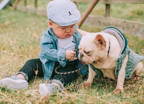 Cậu nhóc khóc ré "ăn vạ" khi phải chụp ảnh bên bạn chó: Dễ thương quá mức quy định rồi nhé!