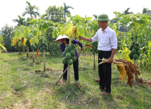 Hà Nội: Huyện nghèo Sóc Sơn xoay sở nâng cấp trường học, thủy lợi