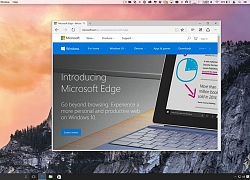 Microsoft tiết lộ sẽ đưa trình duyệt Edge lên MacOS