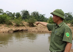 Tắm sông, học sinh lớp 3 ở Nghệ An tử vong do đuối nước