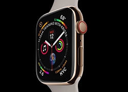 Apple Watch Series 4 giành giải thiết bị có màn hình tốt nhất năm 2019