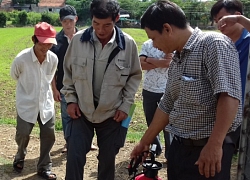 Bỏ phố về quê nuôi gà, bán cho nhà hàng, đám xá với giá cao