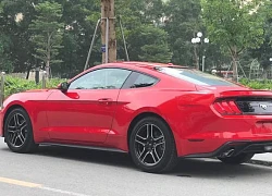 Ford Mustang Premium 2019 đầu tiên cập bến Việt Nam, giá hơn 3,1 tỷ đồng