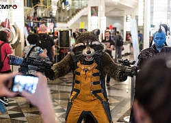 Gấu mèo quậy phá Rocket Raccoon