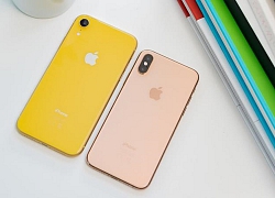 iPhone XR 2019 lộ diện rõ nét trong video 360 độ, hé lộ nhiều chi tiết thú vị về thiết kế