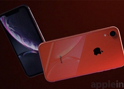 iPhone XR 2019 quá đẹp, iFan lại phải móc hầu bao