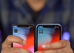 iPhone Xr 2019 sẽ có thêm 2 màu mới, thay thế màu Cam và Xanh dương