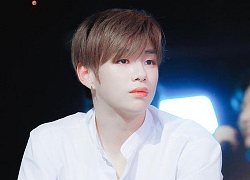 Kang Daniel thắng kiện LM Entertainment: Công ty không chịu bỏ cuộc, quyết phản đối đến cùng