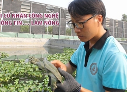 Khởi nghiệp thất bại, cử nhân về quê nuôi ba ba và cái kết bạc tỉ