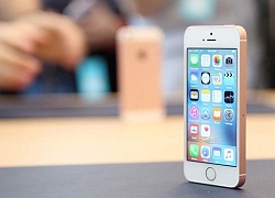 Lý do Apple nên 'hồi sinh' iPhone SE ngay và luôn