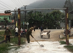 Nghệ An: 3 huyện công bố hết dịch tả lợn châu Phi