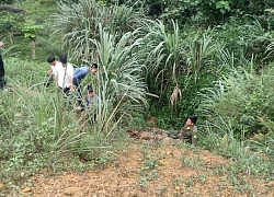 Ngửi thấy mùi lạ, người dân đi tìm phát hiện xác người đang phân hủy dưới cống