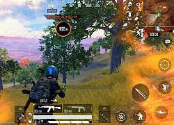 PUBG Mobile quốc tế có ảnh hưởng gì bởi sự ra mắt của Game for Peace hay không?