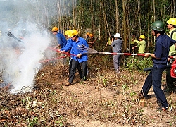 Ra mắt Trung tâm kết nối tiêu thụ nông sản