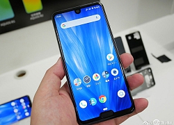 Trên tay Sharp Aquos R3 với thiết kế 2 notch độc đáo, chip Snapdragon 855 và màn hình Pro IGZO 120Hz