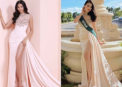 Trước khi là Miss Universe Vietnam 2019, Hoàng Thùy đã được phong danh hiệu gây tranh luận này