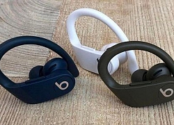 AirPods 2 vs Powerbeats Pro: nên chọn siêu phẩm tai nghe không dây nào?