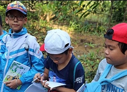 Buồn chán vì con học lớp 1 không đạt... giỏi toàn diện