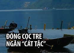 Dân Thừa Thiên - Huế dựng lũy cọc tre tuyên chiến với cát tặc