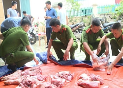 Dịch tả lợn Châu Phi hoành hành, Công an Thái Bình vào cuộc giải cứu